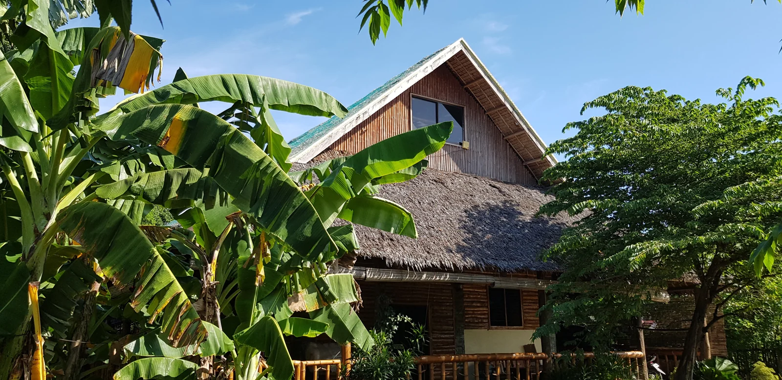 The Nipa House Kids home surrounded by banana leaves and tropical greenery in Siaton